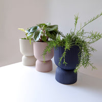 Glazed ceramic flower pots in cream, pink and dark blue. Our pedestal range of plant pots are high quality and perfect for your indoor plants. 