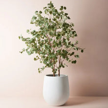 Load image into Gallery viewer, White Large Single Pot - Sprout Planter
