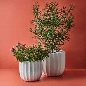 White Byron Textured Large Pots (Set of 2)