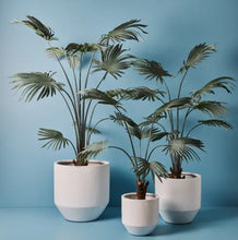 Load image into Gallery viewer, Nomilo Set of 3 Large White Pots
