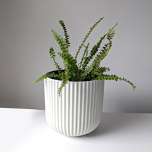 Load image into Gallery viewer, Paris Planter - White
