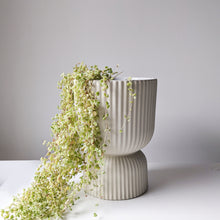 Load image into Gallery viewer, Pedestal Pot - Cream
