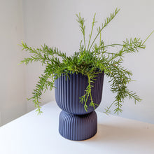 Load image into Gallery viewer, Pedestal Pot - Navy
