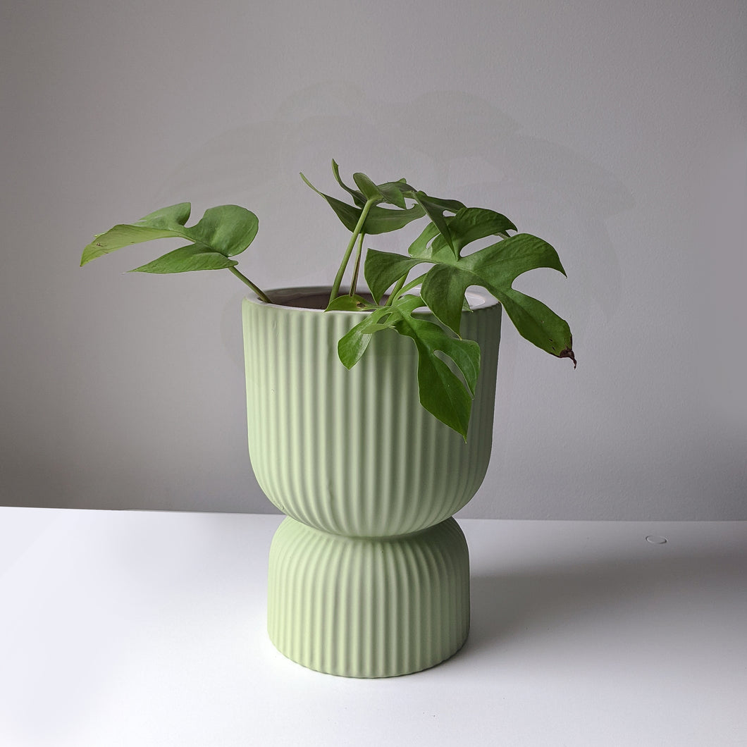 Pedestal Pot - Zesty Green